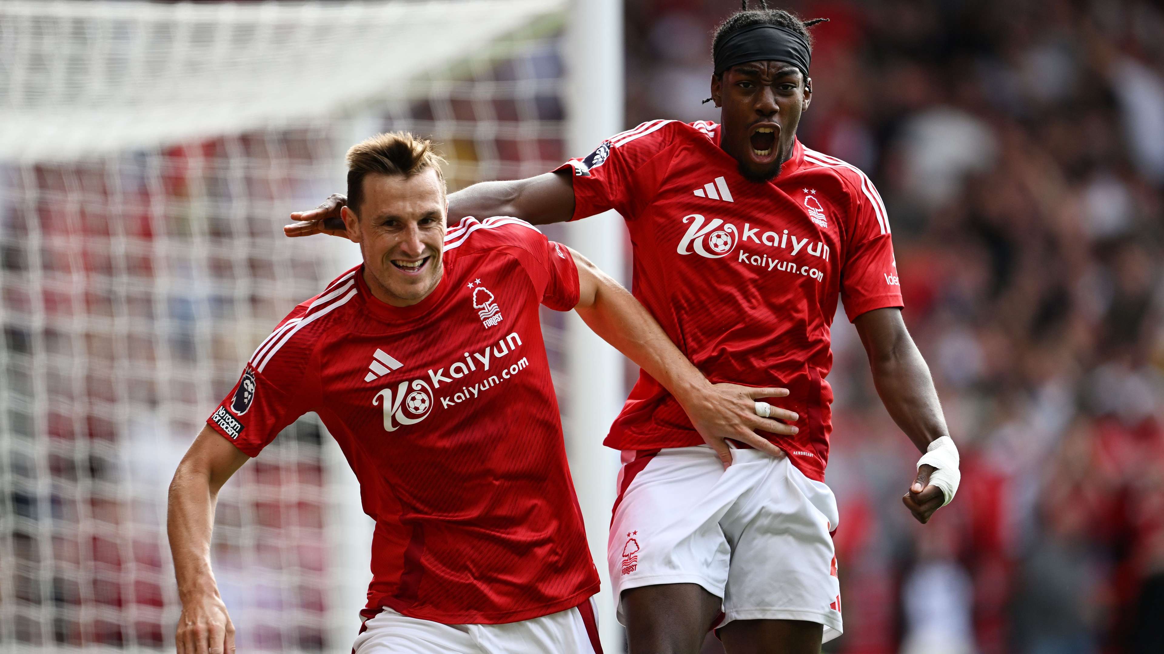 手特点灵活 手特点灵活